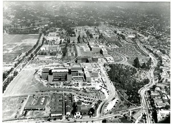 Aerial view of University of California, Los Angeles, September 23, 1953