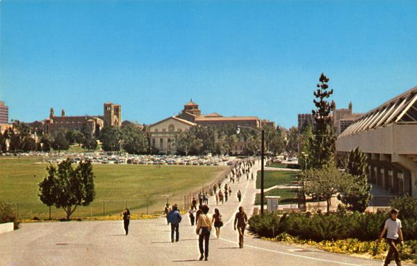 Postcard showing Bruin Walk looking east from dormitory area, ca. 1970