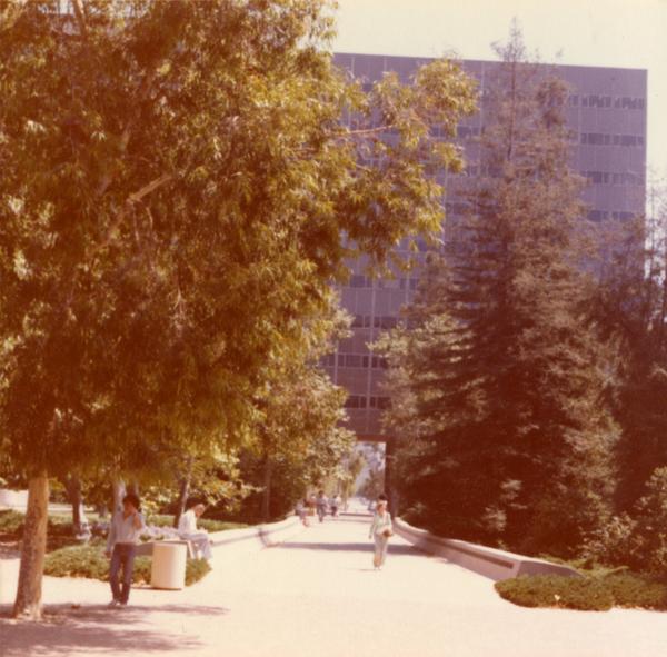 Bunche Hall exterior through trees, 1978