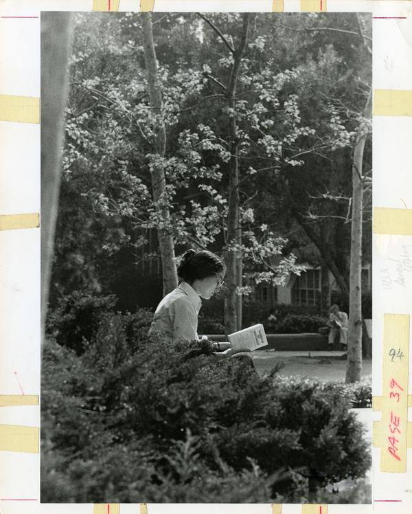 Woman reading on bench