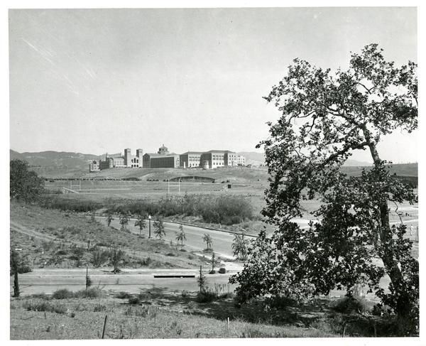 Looking Northeast towards Westwood Campus and surrounding area, 1930