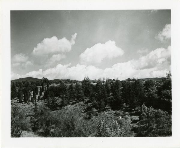 Scenery surrounding the campus photographed by Ralph Cornell, March 15, 1948