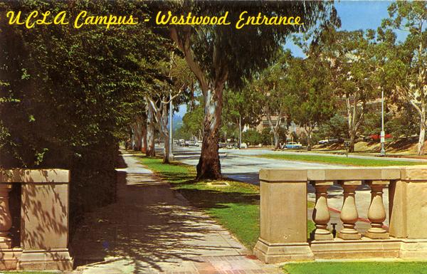 UCLA Campus - Westwood Entrance, ca. 1965