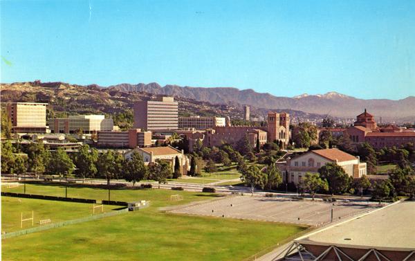 UCLA Campus postcard