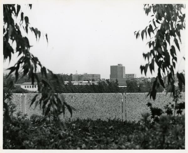 View of UCLA campus buildings through trees, May 1963