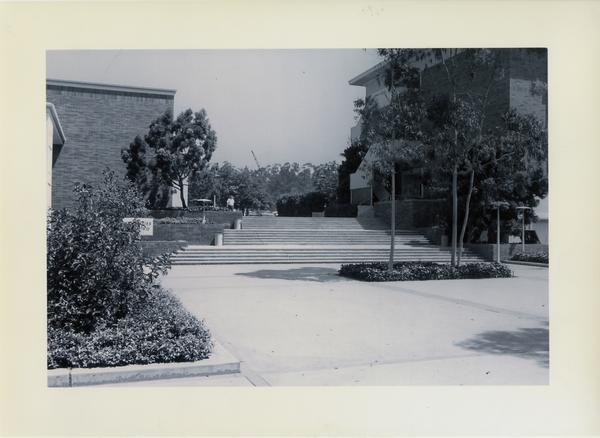 View of Humanities Court and steps going north, ca. 1963