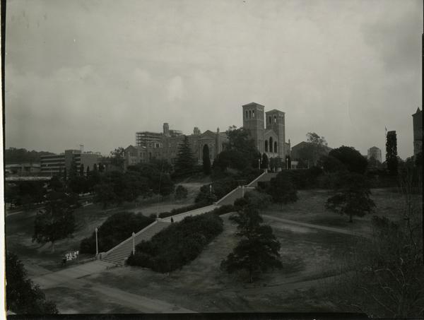View of Janss Steps and Royce Hall, ca. 1962