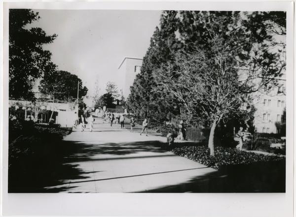 Students walking near the Life Sciences building