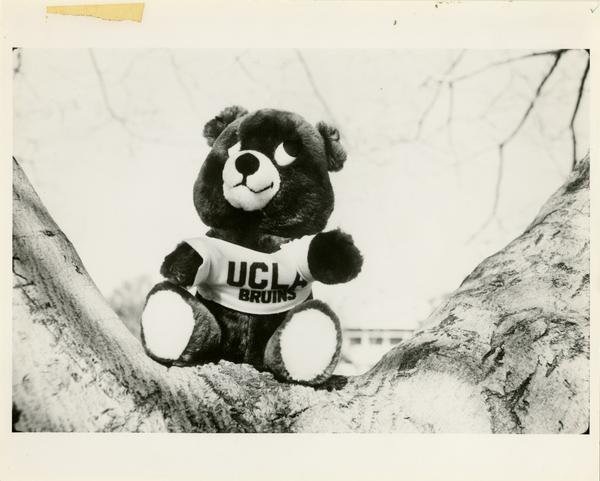UCLA Bruin stuffed animal