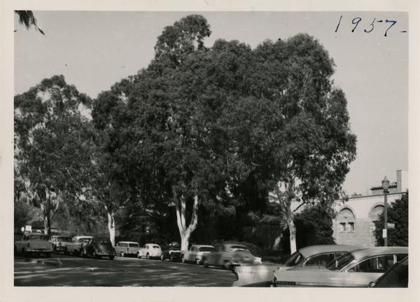 View of President's Row, ca. 1957