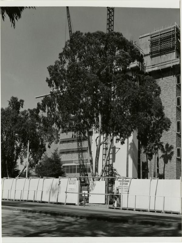 Exterior view of Reed Neurological Research Center during construction
