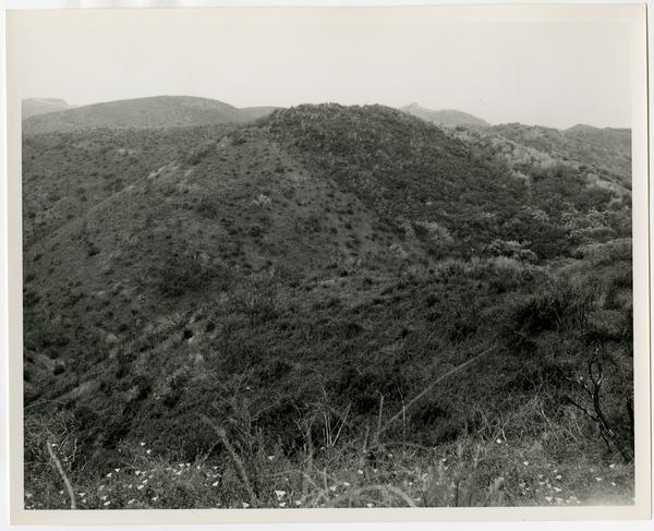 View of Santa Monica Mountains