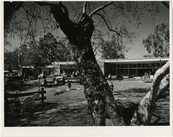 Exterior view of University Elmentary School and outside with treet in foreground.