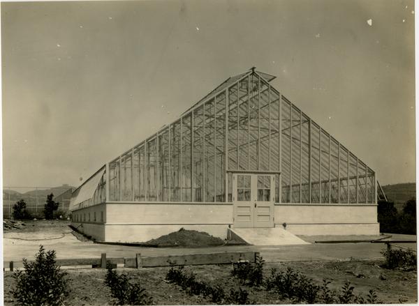 View of greenhouse, September 14, 1931