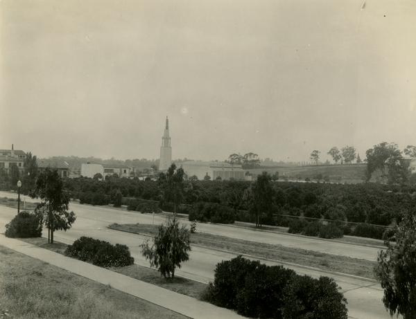 View of Subtropical Horticulture Orchard, 1934