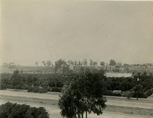 Subtropical Horticulture orchard, ca. 1934