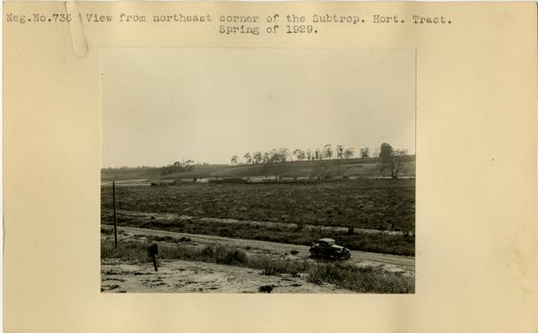 View from northeast corner of the Subtropical Horticulture Tract, ca. Spring 1929