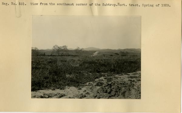 View from southeast corner of the Subtropical Horticulture Tract, ca. Spring 1929