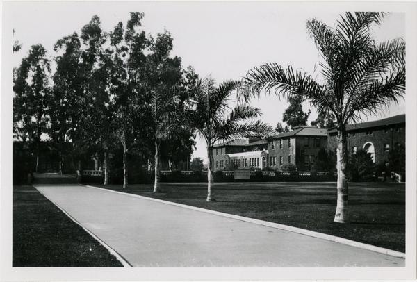 View down walkway of Vermont Ave campus, ca. 1925