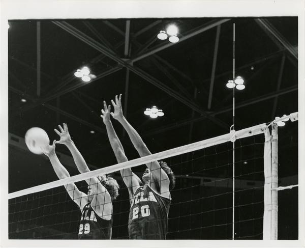 Two UCLA volleyball players reaching for the ball during a game