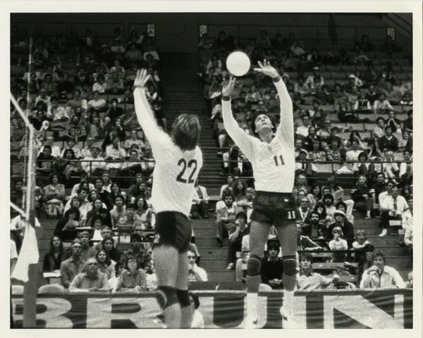 Two UCLA volleyball players reaching for the ball during a game