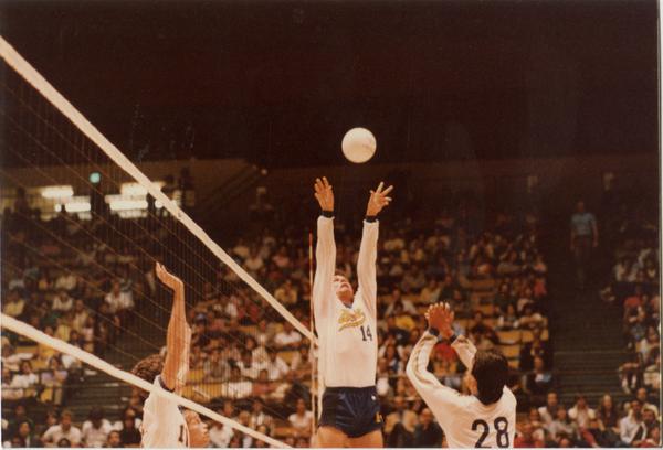 UCLA volleyball player reaching for the ball during a game, 1983