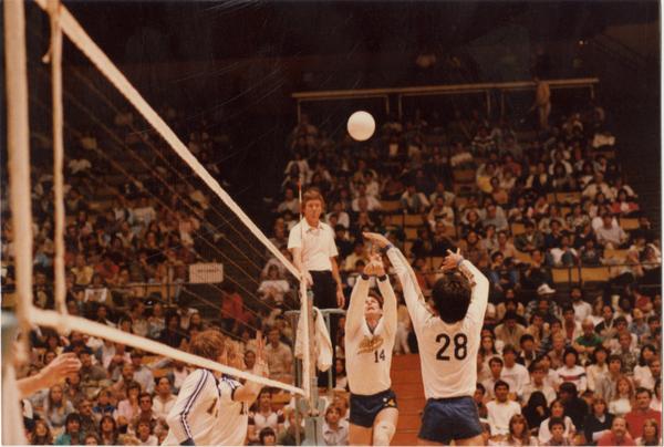 UCLA volleyball player setting the ball for teammate during a game, 1983