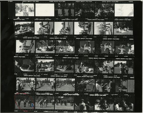 Contact sheet of family picnic (Oct 1981)