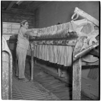 Employee using a machine to cut clay into slabs at the Universal-Rundle ceramic factory, Redlands, 1940s