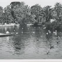 Boy rowing man on a boat who is looking at the ducks on the lake, MacArthur Park, Los Angeles