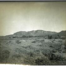Field with a grave in an (location unidentified), California