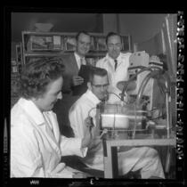 Carol Ledbetter subjecting guinea pig to smog test under direction of Dr. William Blackmore, Henry Swan Jr., Lowell Wayne, Calif., 1964