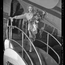 Actress Marlene Dietrich exiting airplane in Los Angeles, Calif. after entertaining troops during World War II