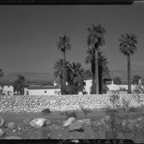 House with tiled roof with stone wall and palm trees, Palm Springs, [1930s or 1940s?]