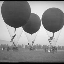 Three balloons either landing or ready to take-off at Arcadia Balloon School, Calif., circa 1920