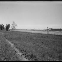 Santa Anita Park seen from a field behind the backstretch, Arcadia, 1936