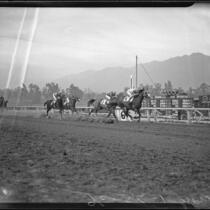 Horse race at Santa Anita Park, Arcadia, 1936