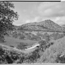 Mountain view with dirt road running through grove of trees, Tehachapi Mountains, 1924-1925