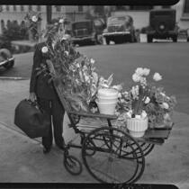 Flowers brought to Buron Fitts while he was recovering from a gunshot wound, Los Angeles, 1937
