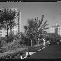 View from garden of the Chamber of Commerce building towards the Villa Riviera, Long Beach, 1932 or 1940