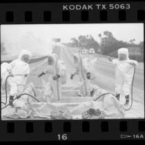 Hazardous materials squad being decontaminated after molten sulfur spill on the 405 Freeway, Calif., 1986