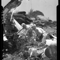 Wreckage of Standard Airlines C-46 is examined for clues regarding the cause of the crash, 1949.