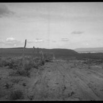 Dirt road near Mono Lake, Mono County, [1929?]