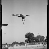 Dorothy Poynton, Olympic diver, in straight position following a backward start, 1932