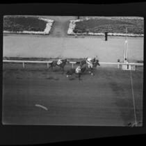 Horses approaching the finish line at Santa Anita Park on Christmas Day, Arcadia, 1935