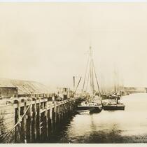 Boats in San Pedro Harbor, 1885