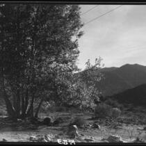 View from Rim of the World Drive, San Bernardino County, [1929 or 1930]