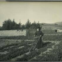 Monk tilling the garden at Mission Santa Barbara, Santa Barbara, 1898