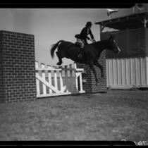 Horse jumping at the Palm Springs Field club during the Desert Circus Rodeo, Palm Springs, 1938