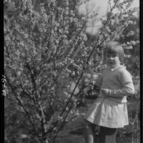 Adelaide Rearden posing next to a blossoming tree, Santa Monica, circa 1928